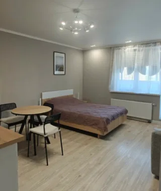 Студия, 27 м², ст. м. Парнас