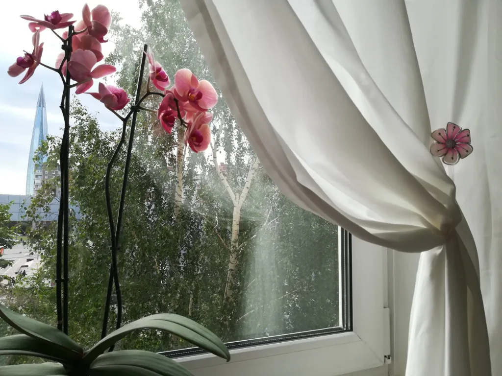 Комната, 70 м², ст. м. Беговая