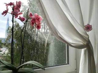 Комната, 70 м², ст. м. Беговая