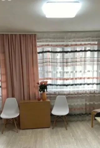 Студия, 26 м², ст. м. Парнас