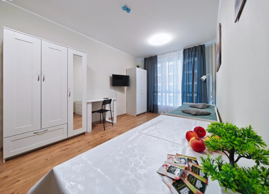 Студия, 22 м², ст. м. Парнас