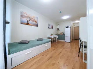 Студия, 22 м², ст. м. Парнас