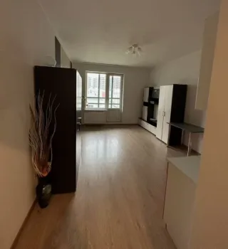 Студия, 26 м², ст. м. Девяткино