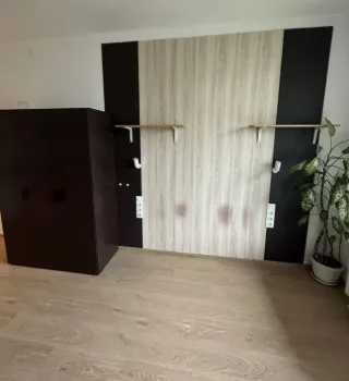 Студия, 26 м², ст. м. Девяткино