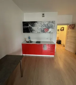 Студия, 26 м², ст. м. Девяткино