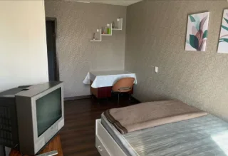 1-к. кв., 37 м², ст. м. Пионерская