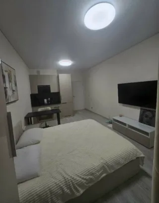 Студия, 25 м², ст. м. Проспект Большевиков
