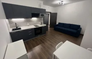Студия, 30 м², ст. м. Комендантский проспект