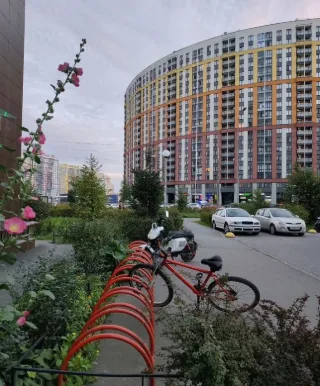 Студия, 25 м², ст. м. Комендантский проспект