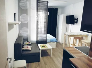 Студия, 22 м², ст. м. Парнас