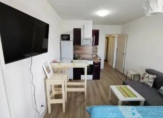 Студия, 22 м², ст. м. Парнас