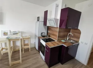 Студия, 22 м², ст. м. Парнас