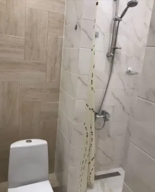 Студия, 25 м², ст. м. Девяткино