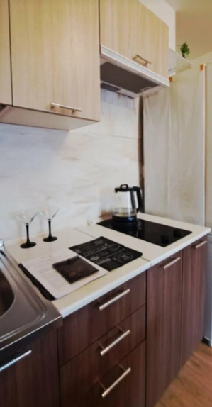 Студия, 25 м², ст. м. Комендантский проспект