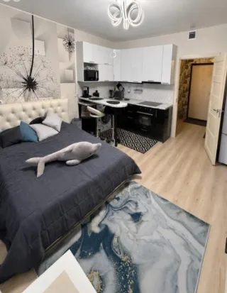 Студия, 25 м², ст. м. Комендантский проспект