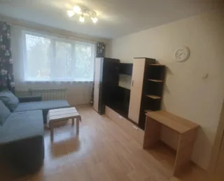 1-к. кв., 30 м², ст. м. Улица Дыбенко