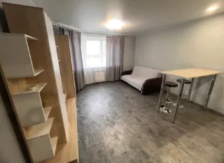 Студия, 28 м², ст. м. Пионерская