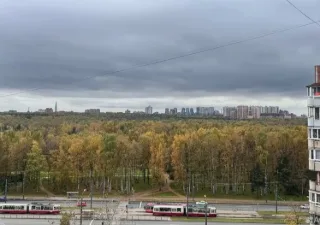 1-к. кв., 38 м², ст. м. Политехническая