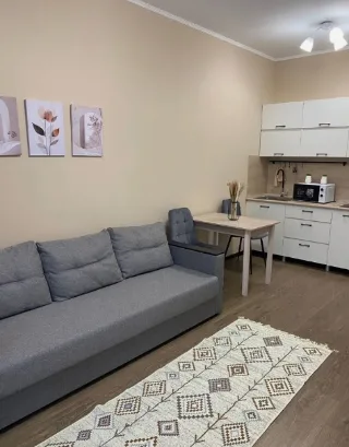 Студия, 25 м², ст. м. Комендантский проспект