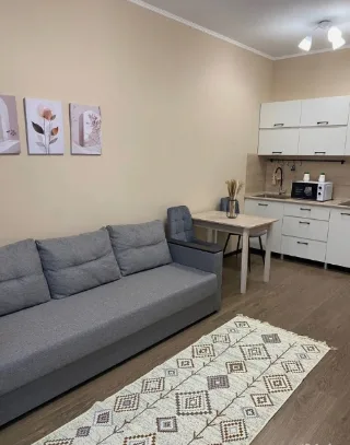 Студия, 25 м², ст. м. Комендантский проспект