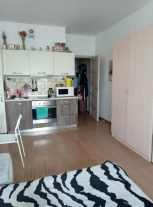 Студия, 26 м², ст. м. Девяткино
