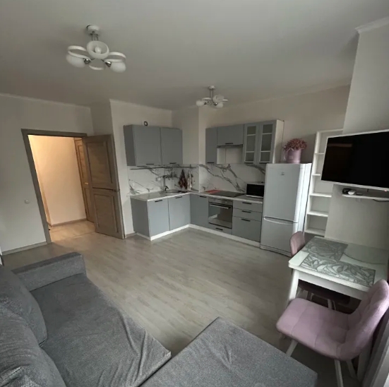 Студия, 26 м², ст. м. Парнас