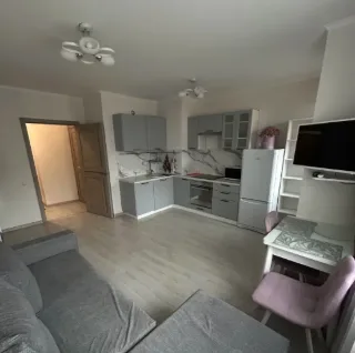 Студия, 26 м², ст. м. Парнас