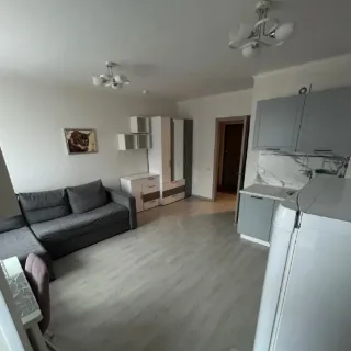 Студия, 26 м², ст. м. Парнас
