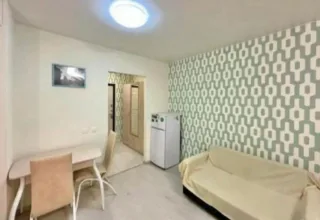 Студия, 23 м², ст. м. Девяткино