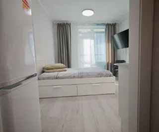 Студия, 20 м², ст. м. Комендантский проспект