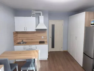 Студия, 26 м², ст. м. Приморская