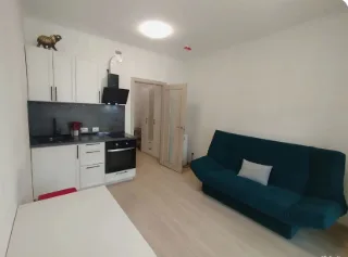 Студия, 24 м², ст. м. Комендантский проспект