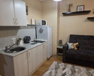 Студия, 25 м², ст. м. Парнас