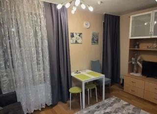 Студия, 25 м², ст. м. Парнас