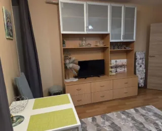 Студия, 25 м², ст. м. Парнас