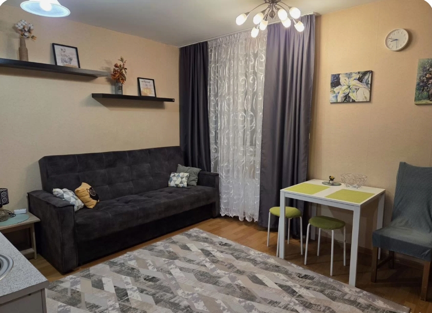 Студия, 25 м², ст. м. Парнас