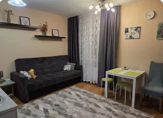 Студия, 25 м², ст. м. Парнас
