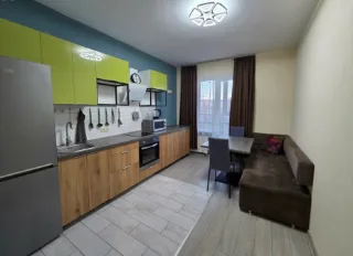 1-к. кв., 47 м², ст. м. Улица Дыбенко