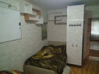 2-к. кв., 50 м², ст. м. Проспект Ветеранов