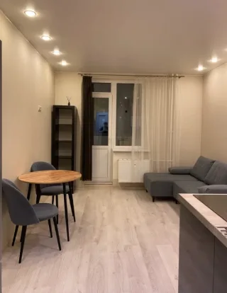 Студия, 25 м², ст. м. Девяткино