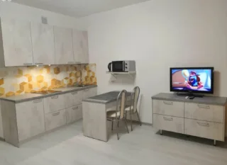 Студия, 25 м², ст. м. Комендантский проспект