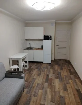 Студия, 23 м², ст. м. Девяткино