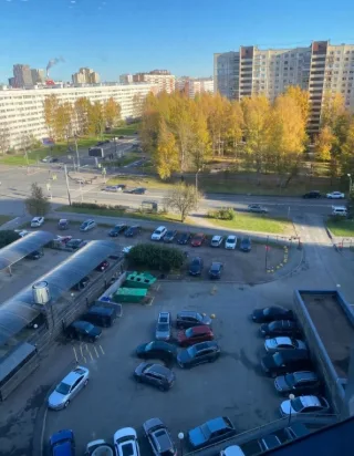 Студия, 34 м², ст. м. Проспект Просвещения