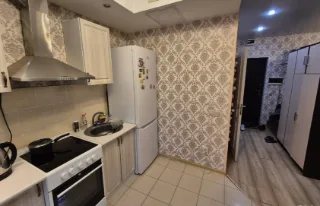 1-к. кв., 31 м², ст. м. Проспект Ветеранов