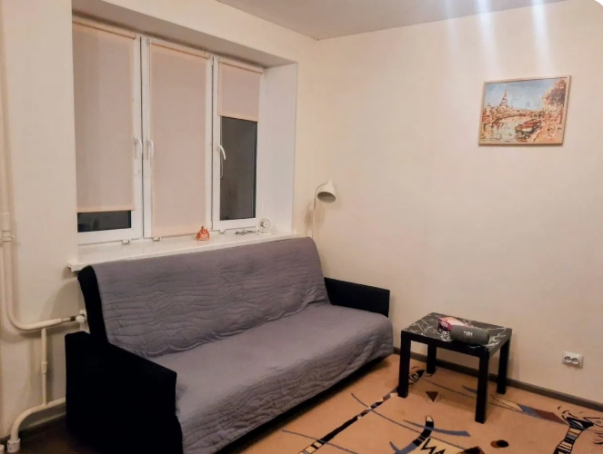1-к. кв., 26 м², ст. м. Парнас