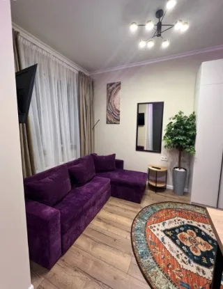 Студия, 24 м², ст. м. Улица Дыбенко