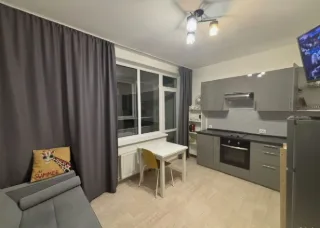 1-к. кв., 25 м², ст. м. Ладожская
