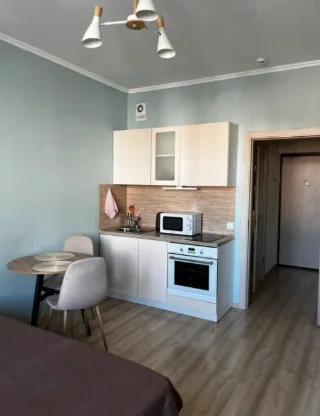 Студия, 21 м², ст. м. Улица Дыбенко