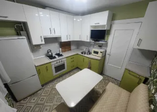 1-к. кв., 37 м², ст. м. Озерки