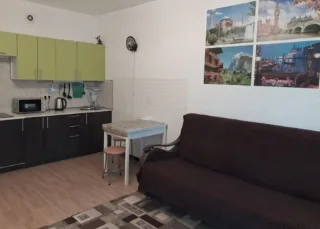 Студия, 27 м², ст. м. Девяткино